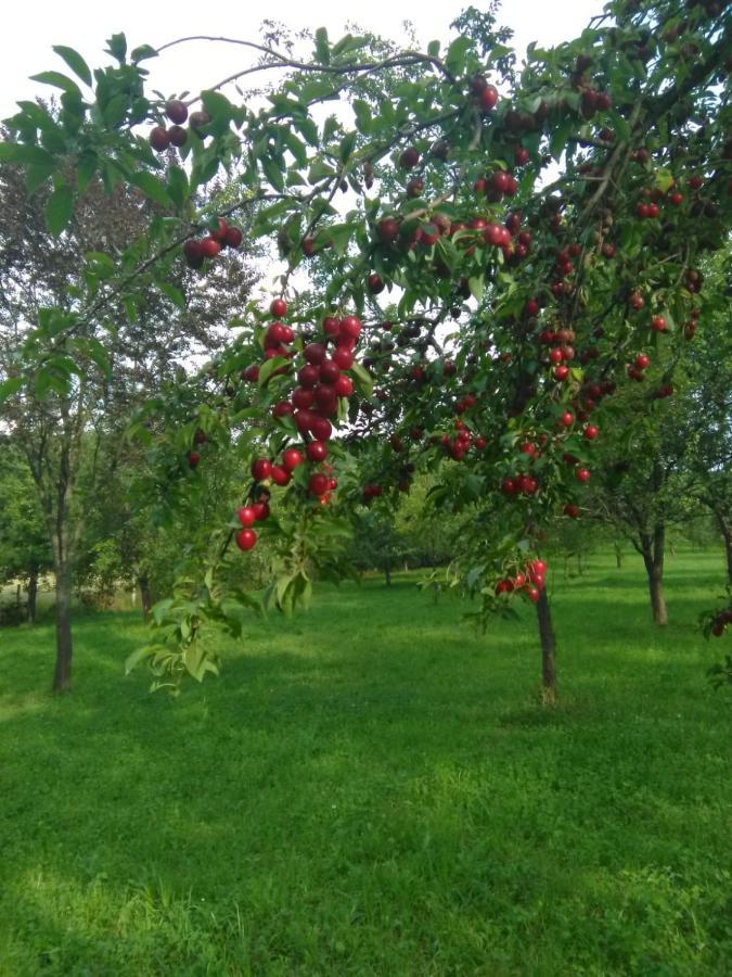 Eco Familia Hotel Pojoga Kültér fotó