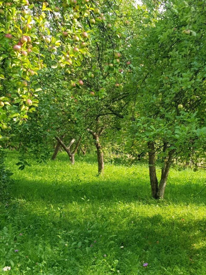 Eco Familia Hotel Pojoga Kültér fotó